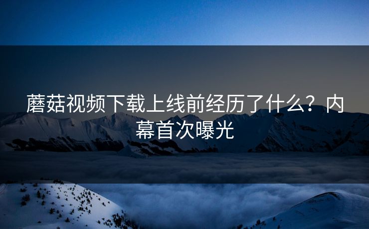 蘑菇视频下载上线前经历了什么？内幕首次曝光