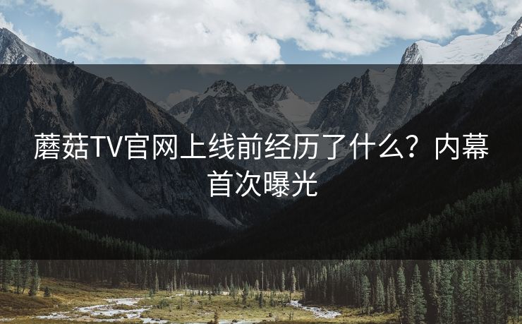 蘑菇TV官网上线前经历了什么？内幕首次曝光