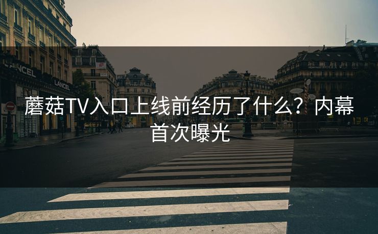 蘑菇TV入口上线前经历了什么？内幕首次曝光