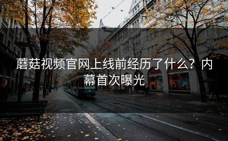 蘑菇视频官网上线前经历了什么？内幕首次曝光