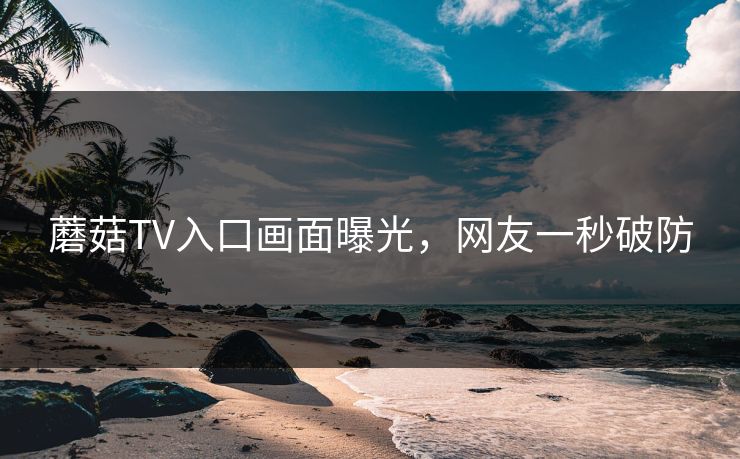 蘑菇TV入口画面曝光，网友一秒破防