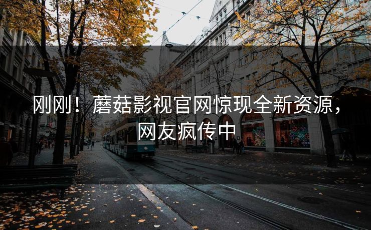 刚刚！蘑菇影视官网惊现全新资源，网友疯传中