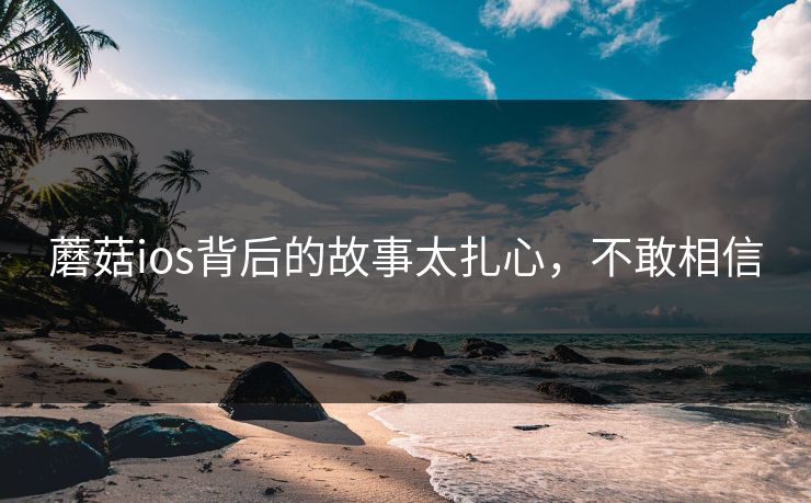 蘑菇ios背后的故事太扎心，不敢相信
