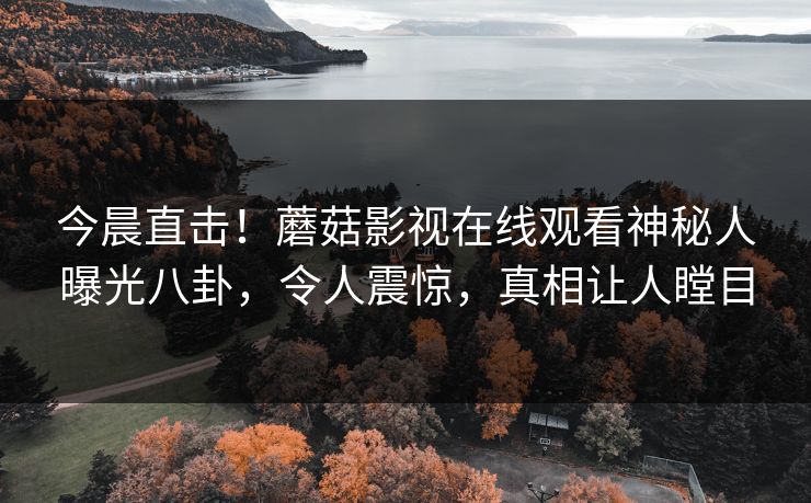 今晨直击！蘑菇影视在线观看神秘人曝光八卦，令人震惊，真相让人瞠目