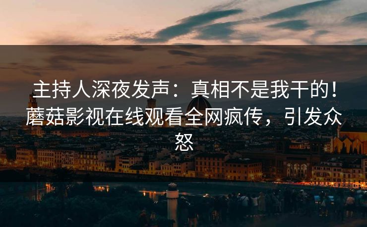 主持人深夜发声：真相不是我干的！蘑菇影视在线观看全网疯传，引发众怒