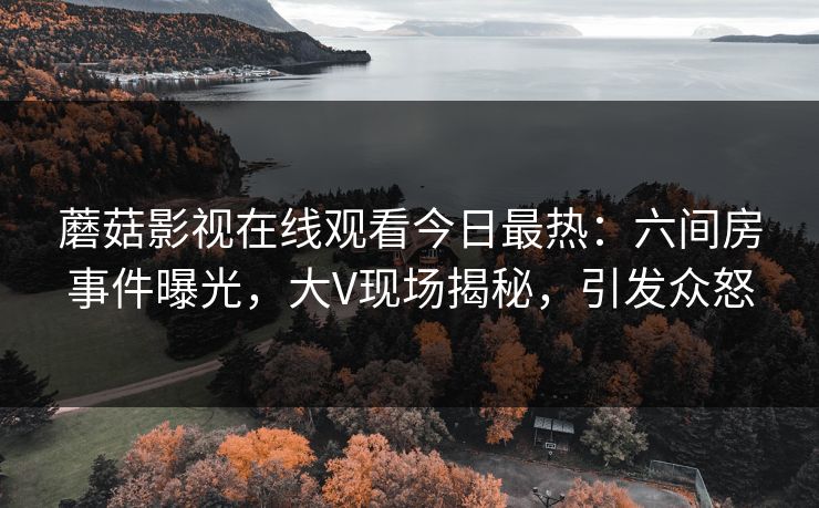 蘑菇影视在线观看今日最热：六间房事件曝光，大V现场揭秘，引发众怒