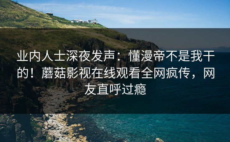 业内人士深夜发声：懂漫帝不是我干的！蘑菇影视在线观看全网疯传，网友直呼过瘾