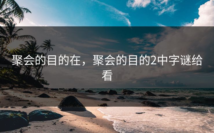 聚会的目的在，聚会的目的2中字谜给看