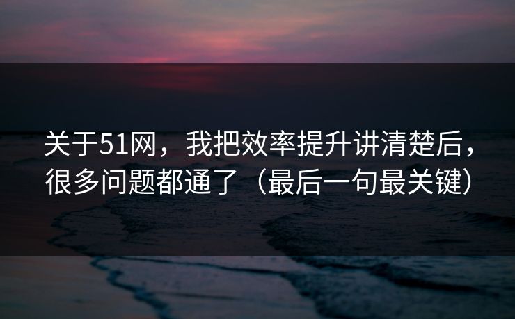 关于51网,我把效率提升讲清楚后,很多问题都通了(最后一句最关键) 关于51网,我把效率提升讲清楚后,很多问题都通了(最后一句最关键)